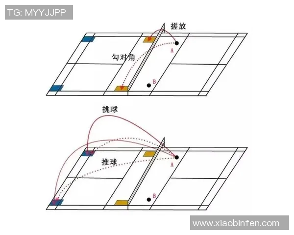 南京羽毛球队速度对比独家解析与战术分析探讨