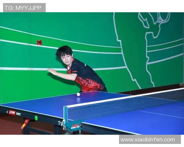 杭州与南京乒乓球队耐力较量赛后分析与反思