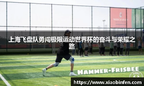 上海飞盘队勇闯极限运动世界杯的奋斗与荣耀之路